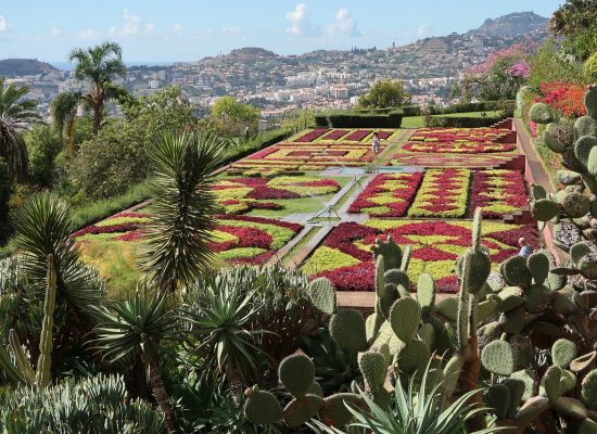 Madeira